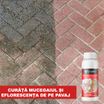 Detergent Mucegai Pereti, Muschi, Eflorescenta Verde, NanoMax, 750 ml - imagine 2
