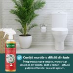 Solutie/Detergent BIO Curatare Piatra, Pavaj, Beton Exterior, Granit, Travertin, Cleaner Pro, NanoMax 1L - imagine 6