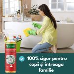 Solutie/Detergent BIO Curatare Piatra, Pavaj, Beton Exterior, Granit, Travertin, Cleaner Pro, NanoMax 1L - imagine 2