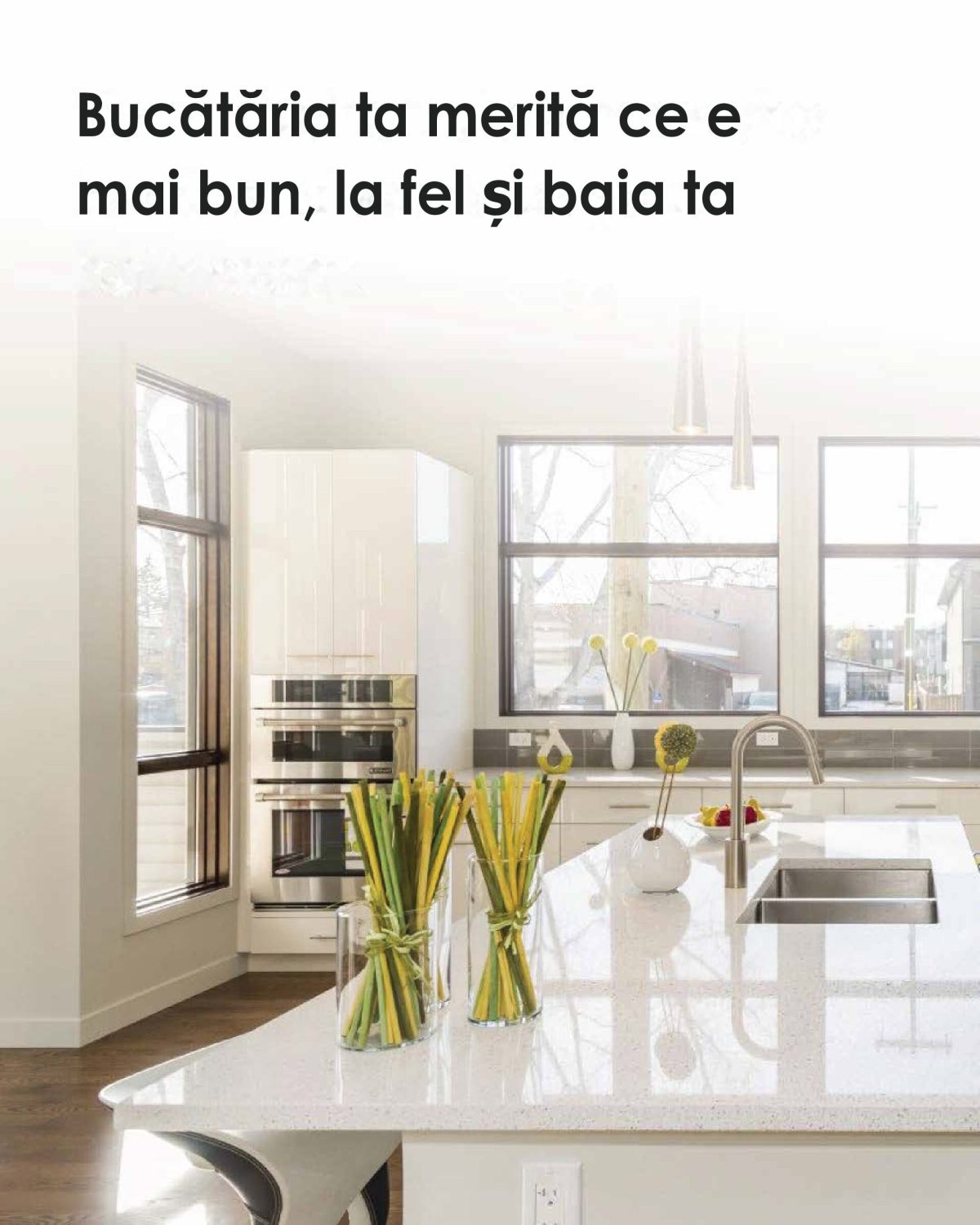Vopsea IGIENIZANTA ANTIMUCEGAI – specială pentru bucătării, băi, locuinte, beton, zidarie, ciment, caramida, inodora, pe bază de apă, interior/exterior Monto, Alb, 2,5L - imagine 2