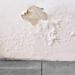 Soluție impotriva umezelii pereti, garduri, Nano Protectie, SurfaPore RD - imagine 3